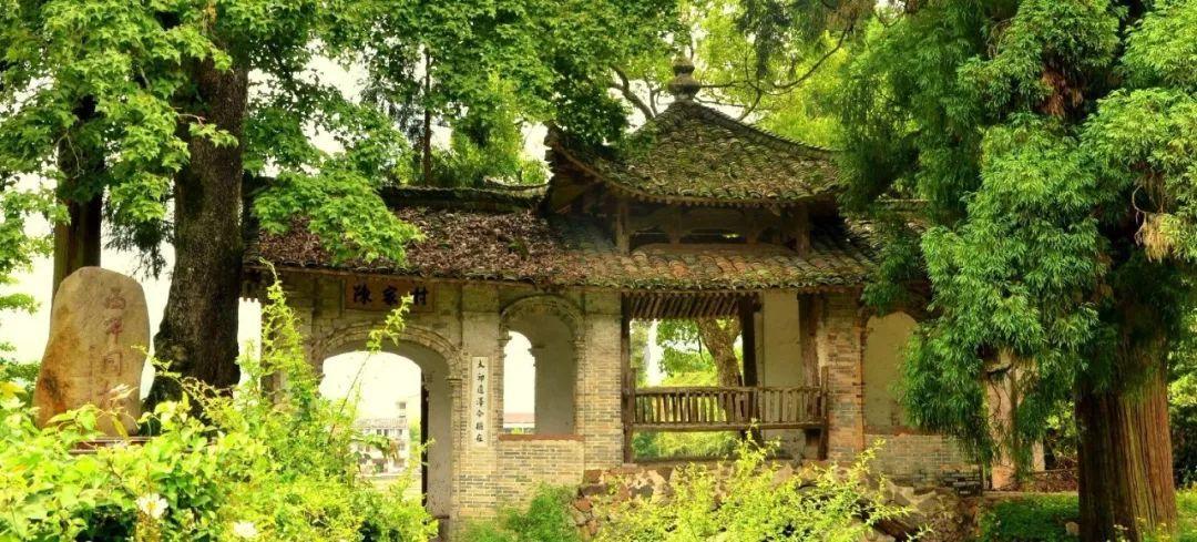 解答你所有问题的吉鹿力问答社区 - 斗球直播app下载